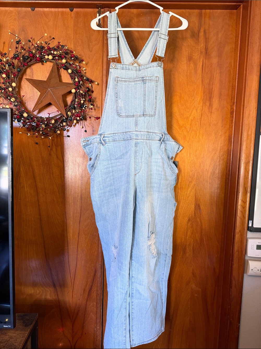wild fable Light Wash Denim Overalls
